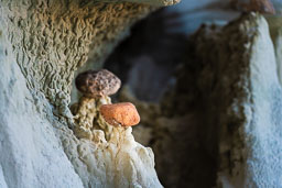 Breathtaking-Miniature-Hoodoos-Grand-Staircase.jpg