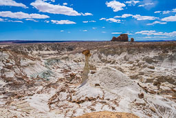 single-hoodoo-white-rock-utah-vista.jpg