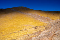 Checkerboard-Patterned-Yellow-Rock.jpg