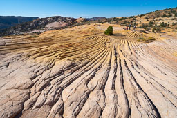 distant-figures-yellow-rock-people-hiker.jpg