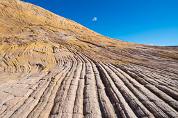 uphill-sandstone-textures-yellow-rock-hike.jpg